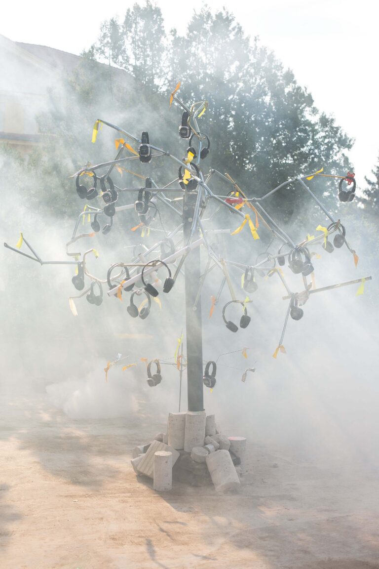 BRUCHLANDVOGEL_JFranke_H13A3179-Edit