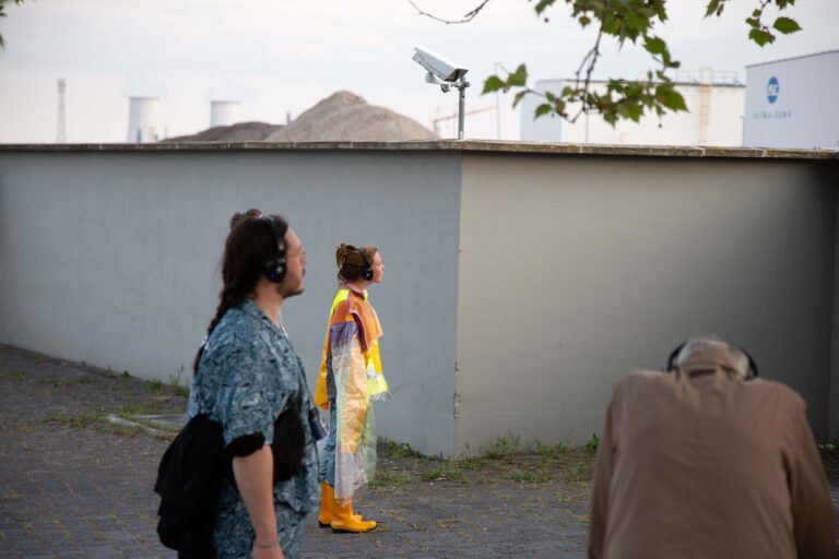 BRUCHLANDVOGEL_JFranke_H13A3481-Edit