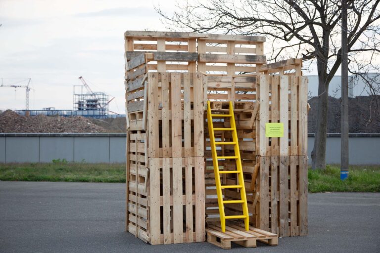 BRUCHLANDVOGEL_JFranke_H13A3576-Edit