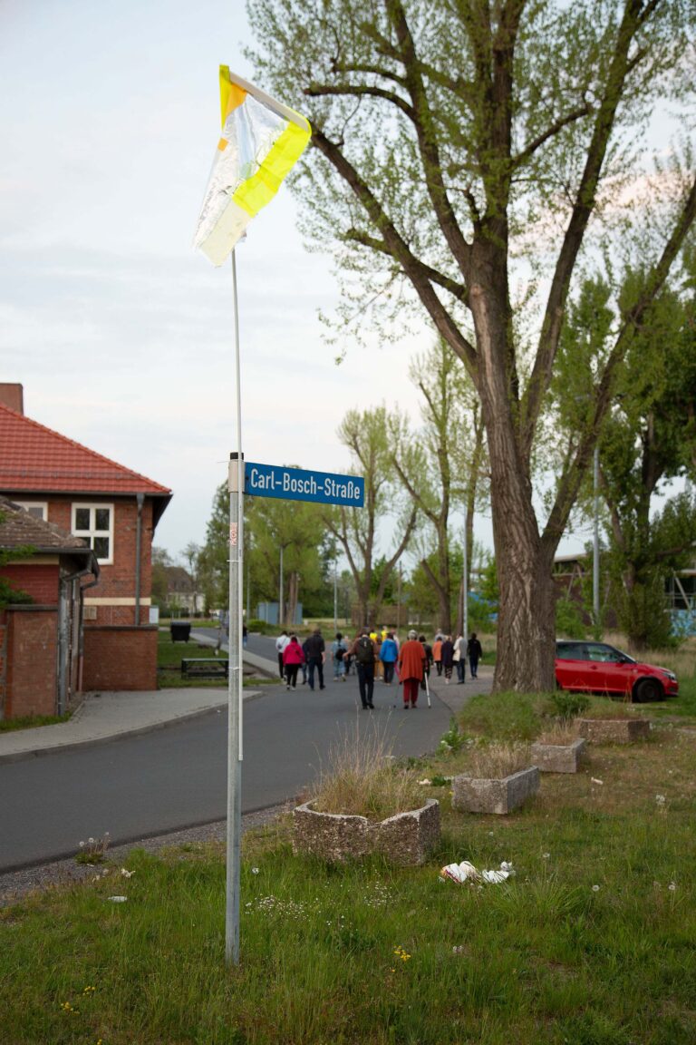 BRUCHLANDVOGEL_JFranke_H13A3587-Edit