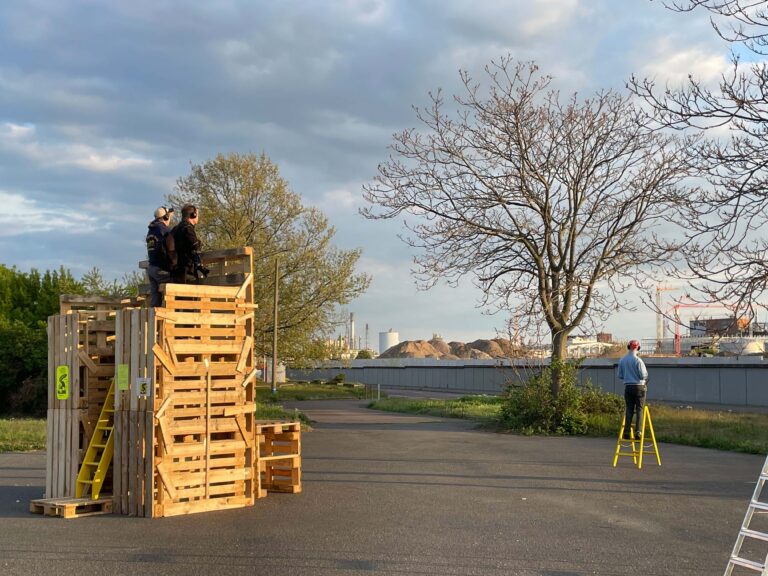 BRUCHLANDVOGEL_JFranke_IMG_5967