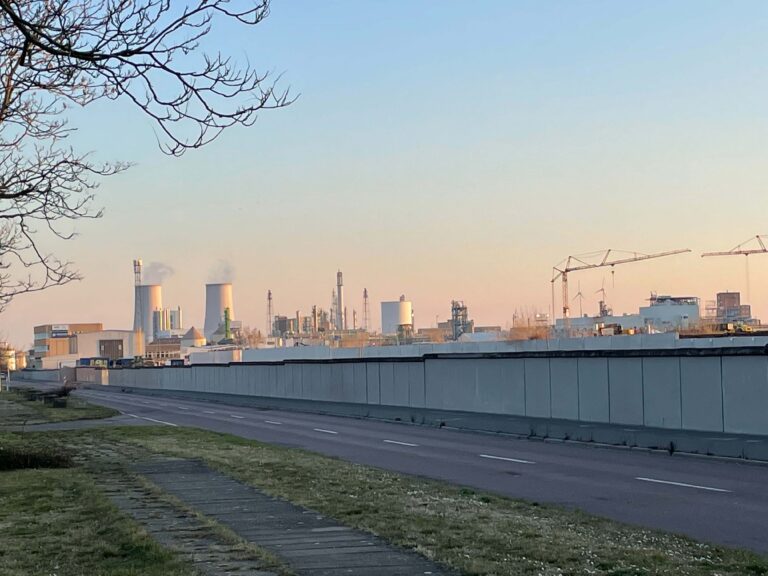 BRUCHLANDVOGEL_JFranke_leuna_5458