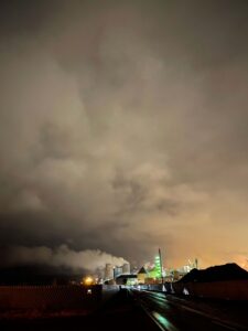 BRUCHLANDVOGEL_leuna1_4940