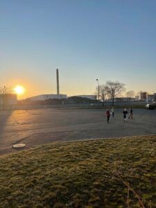 BRUCHLANDVOGEL_leuna1_5455