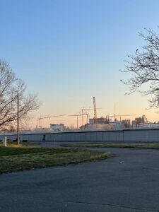 BRUCHLANDVOGEL_leuna1_5456