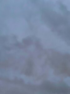 BRUCHLANDVOGEL_leuna_4906