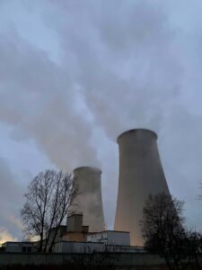 BRUCHLANDVOGEL_leuna_4907