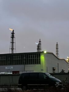 BRUCHLANDVOGEL_leuna_4909