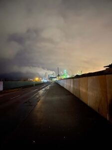 BRUCHLANDVOGEL_leuna_4927