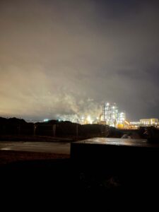 BRUCHLANDVOGEL_leuna_4932