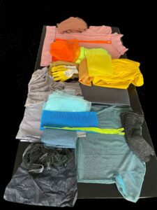 BRUCHLANDVOGEL_Prozess_5846-3