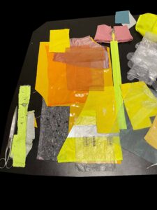 BRUCHLANDVOGEL_Prozess_5875-1