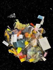 BRUCHLANDVOGEL_Prozess_5885-1