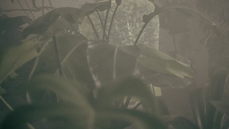 alsob-vollmilch-main-cut_grade-0612_01_10_22_08